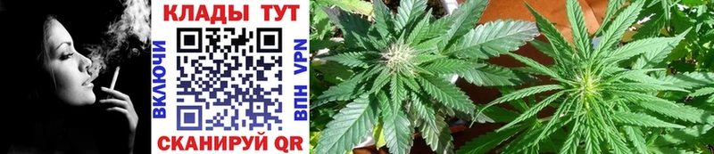 Купить закладку БУТИРАТ  Меф  Конопля  Cocaine  Alpha PVP  Шарья