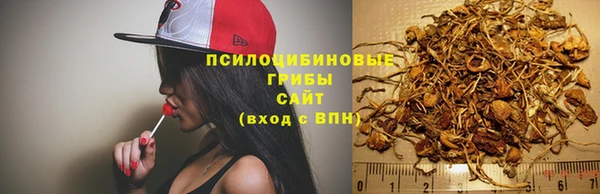 мет Мегион