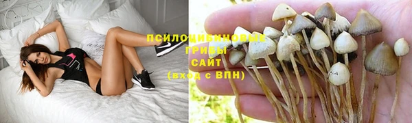 винт Медногорск