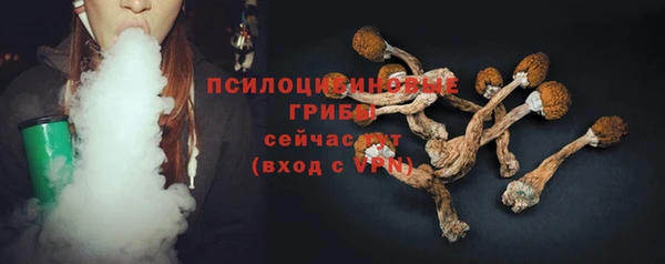 винт Магас