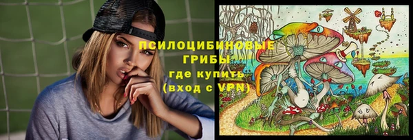 ECSTASY Медвежьегорск